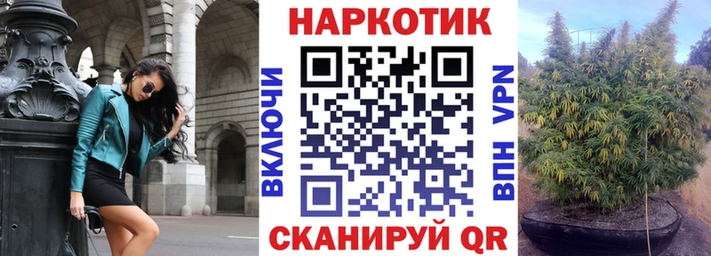 Где найти наркотики Камышин Alpha PVP  МЕФ  Бошки Шишки 