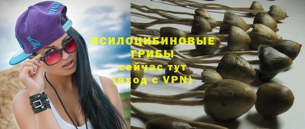 бутират Магадан