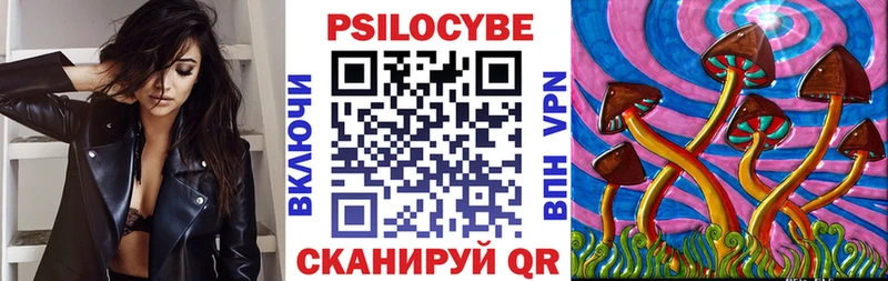 это наркотические препараты гидра сайт Камышин Галлюциногенные грибы прущие грибы