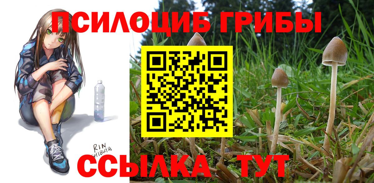Галлюциногенные грибы ЛСД  Псилоцибиновые грибы Psilocybe  Камышин 