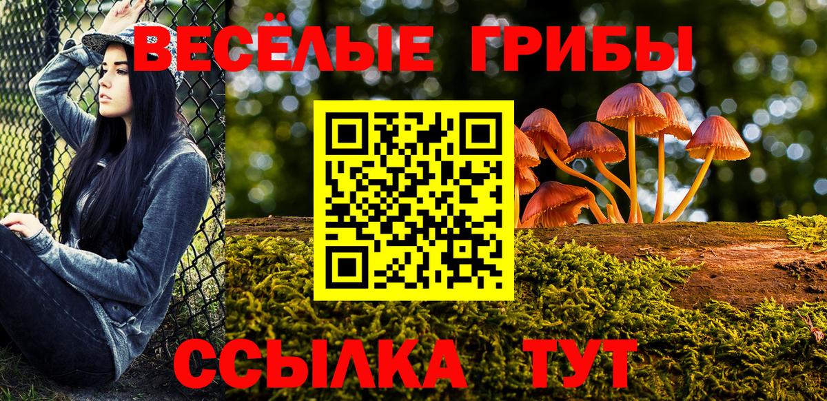 Бошки Шишки Камышин