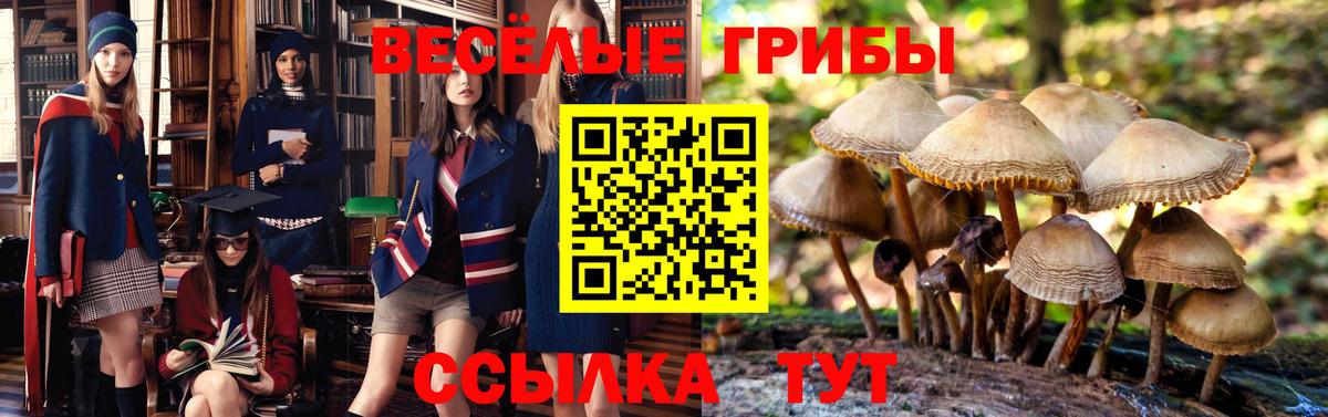 Меф  Бошки Шишки  Hash Oil  Гашик  Вход с VPN  Камышин  Канабис  Хэш  Лсд 25 
