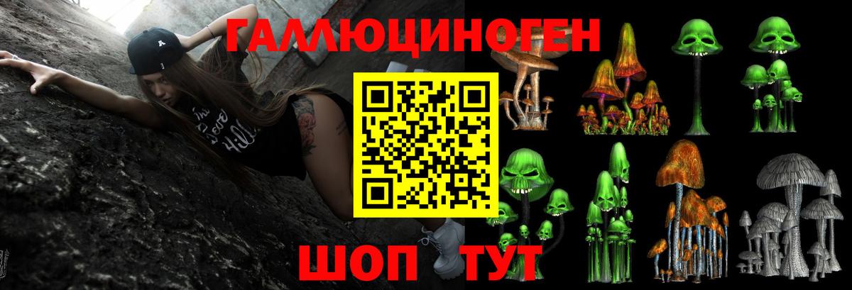 Псилоцибиновые грибы мицелий Камышин