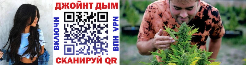 Бошки марихуана Bruce Banner  где продают наркотики  Камышин 